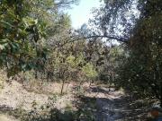Terreno en venta de 40,000 m2, Carboneras Mineral del...