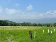 Terreno en venta de 49 hectáreas Campestre carretera...