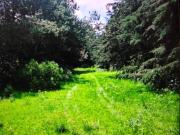TERRENO EN VENTA DE 4 HECTÁREAS EN JILOTEPEC, SÓLO...