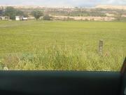 TERRENO EN VENTA DE 5.1 HECTAREAS FRENTE A CARRETERA...