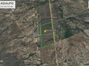 Terreno en venta de 69.6 hectareas salinas victoria Nuevo L