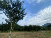 TERRENO EN VENTA DE 8302 METROS CAMPESTRE SAN ROQUE...