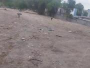 Terreno en venta de 8689 metros Av Morones Prieto...