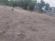 Terreno en venta de 8689 metros Av Morones Prieto...