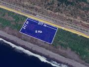 Terreno en Venta de 8 Ha Sobre Autopista Manzanillo...