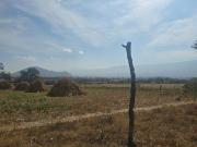 Terreno en venta de una hectárea en Lomas de Tejeda,...
