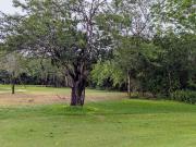 Terreno en venta dentro de Club de Golf La Ceiba