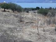 Terreno en Venta Dentro de Coto Lomas del Chante, Jocotepec