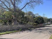 TERRENO EN VENTA DENTRO DE LA CIUDAD DE MERIDA YUCATAN