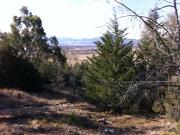 TERRENO EN VENTA DESHPE ACAMBAY EDO MEX