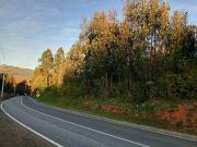 Terreno en venta Dichato