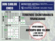 Terreno en venta, Don Carlos, lote propio, partida...
