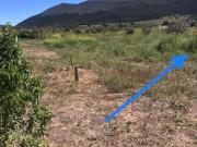 TERRENO EN VENTA DOS ENCINOS