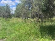 Terreno en venta Eden Los Sabinos