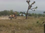 Terreno en Venta Ejidal Mamulique