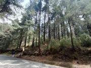 Terreno en Venta Ejido 6731.32m en Salazar, Lerma, México