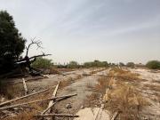 TERRENO EN VENTA EJIDO LA POPULAR, GOMEZ PALACIO, DGO. –...