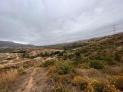 Terreno en VENTA, Ejido Ruiz Cort?nez, Ensenada, B.C