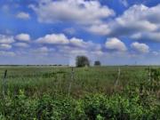 Terreno en venta El Fraile, Montemorelos, Nuevo León