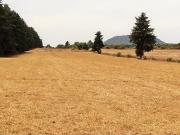 TERRENO EN VENTA / EL MANZANO /CERRO GORDO