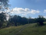 TERRENO EN VENTA EL SABINAL