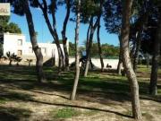 Terreno en venta Elche