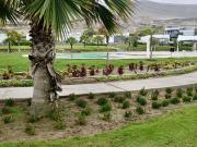 Terreno en venta en Cañete a $100,000