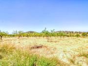 Terreno en Venta en Abanilla