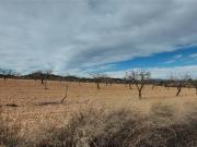 Terreno en Venta en Abanilla