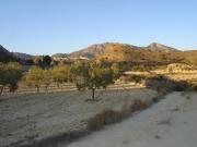 Terreno en Venta en Abanilla