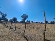 TERRENO EN VENTA EN ACOLMAN