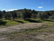 Terreno en Venta en Adamuz