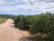 Terreno en Venta en Ador