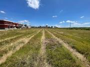 Terreno en Venta en Aeropuerto El Zapote 251 Terreno en Venta en Aeropuerto El Zapote 251