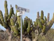 Terreno en venta en Agua Blanca, La Paz, Baja California Sur