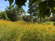 Terreno en venta en Ahuatepec, Cancún, Morelos