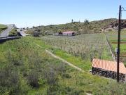 Terreno en Venta en Alajeró