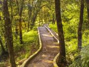 Terreno en venta en Álamos Haras, Puebla