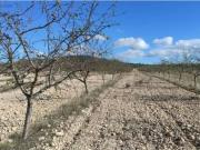 Terreno en Venta en Albacete