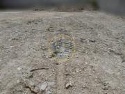 Terreno en Venta en Albaida