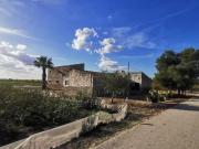 Terreno en venta en Albatera