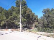 Terreno en Venta en Alberic