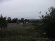 Terreno en Venta en Alberic