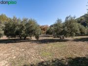 Terreno en Venta en Albolote