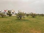 Terreno en Venta en Albolote