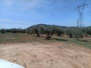 Terreno en Venta en Albolote