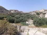 Terreno en Venta en Albudeite