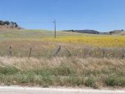 Terreno en Venta en Alcalá de los Gazules