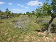 Terreno en Venta en Alcalà de Xivert Alcossebre