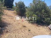 Terreno en venta en Alcanar, de 14.092 m² por 99.000